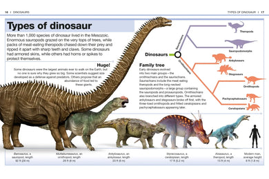 Pocket Genius Dinosaurs US - Paperback / softback