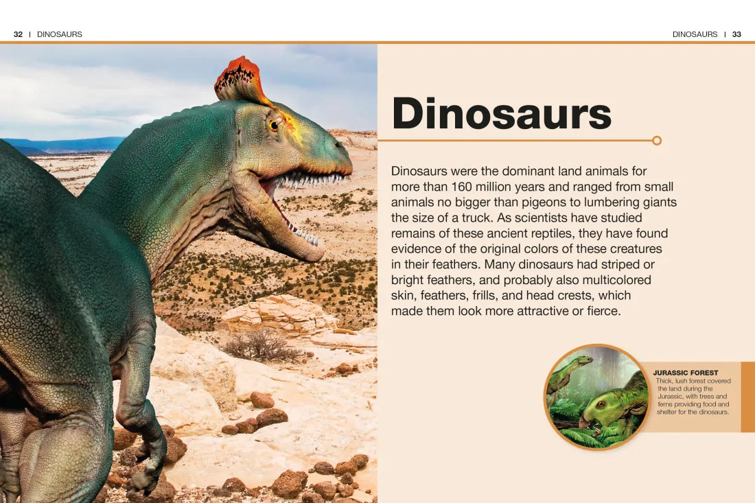 Pocket Genius Dinosaurs US - Paperback / softback