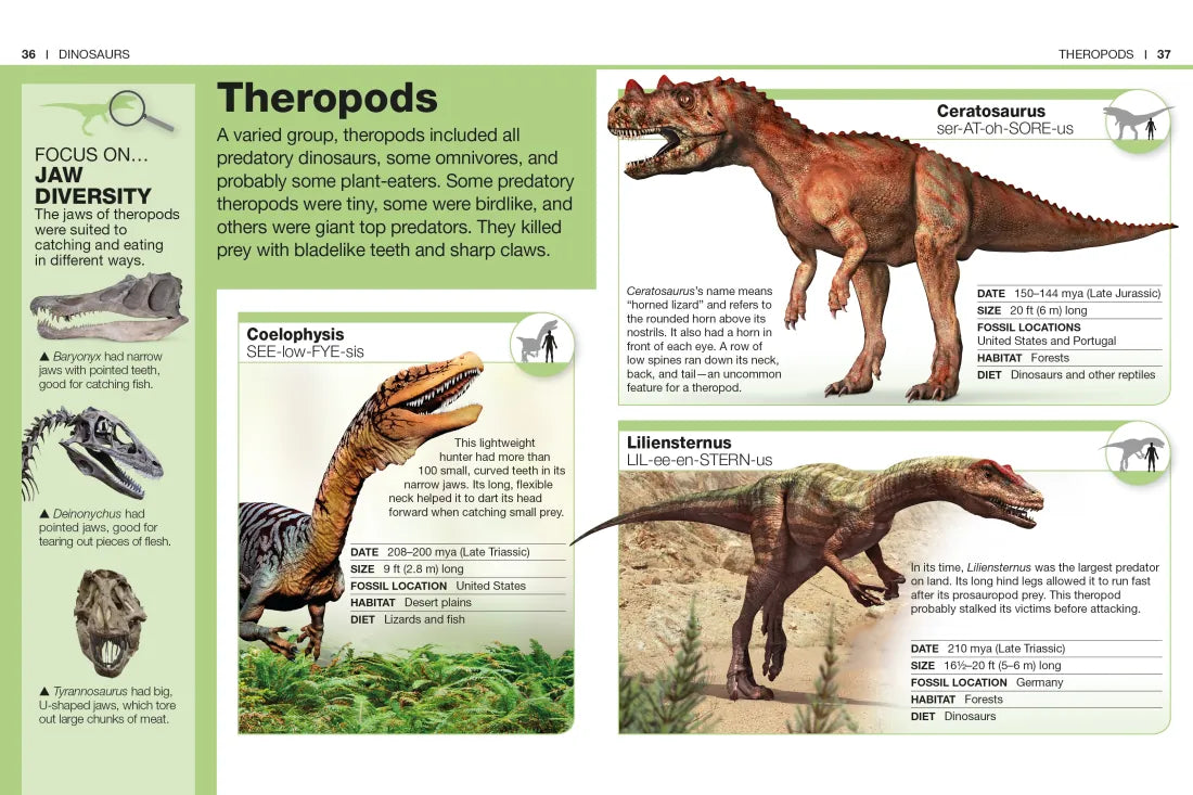 Pocket Genius Dinosaurs US - Paperback / softback