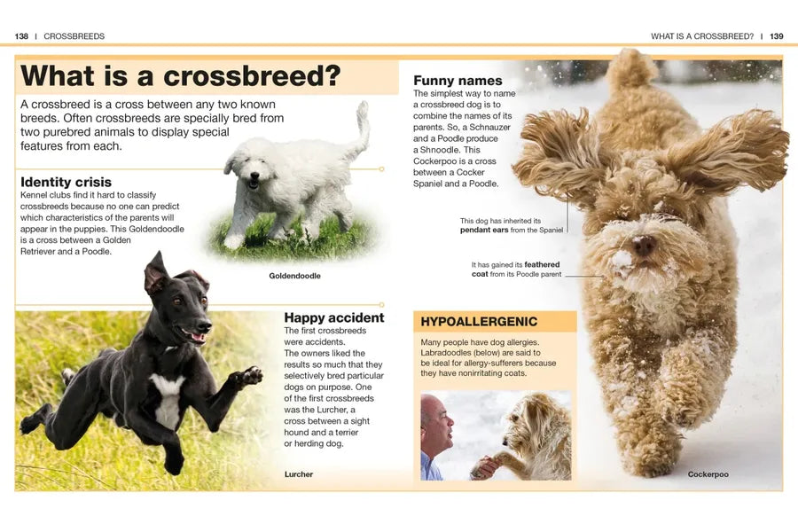 Pocket Genius: Dogs US - Paperback / softback