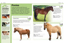 Pocket Genius: Horses US - Paperback / softback