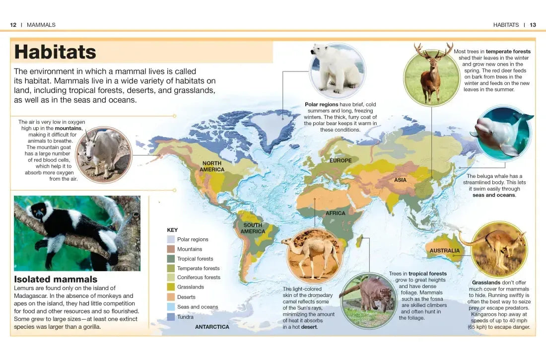 Pocket Genius: Mammals US - Paperback / softback
