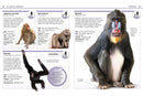 Pocket Genius: Mammals US - Paperback / softback