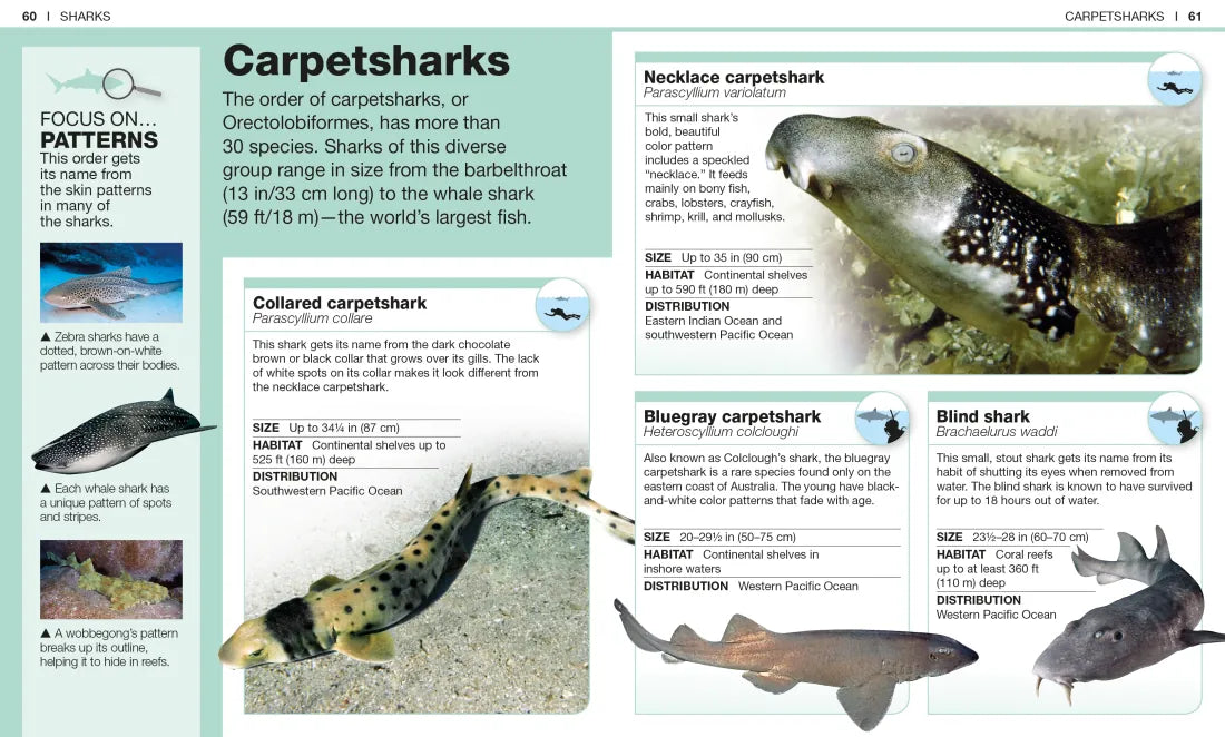 Pocket Genius: Sharks US - Paperback / softback
