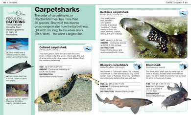 Pocket Genius: Sharks US - Paperback / softback