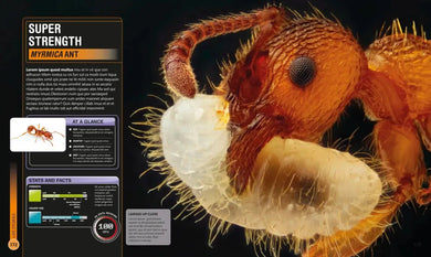 Super Bug Encyclopedia US - Hardback