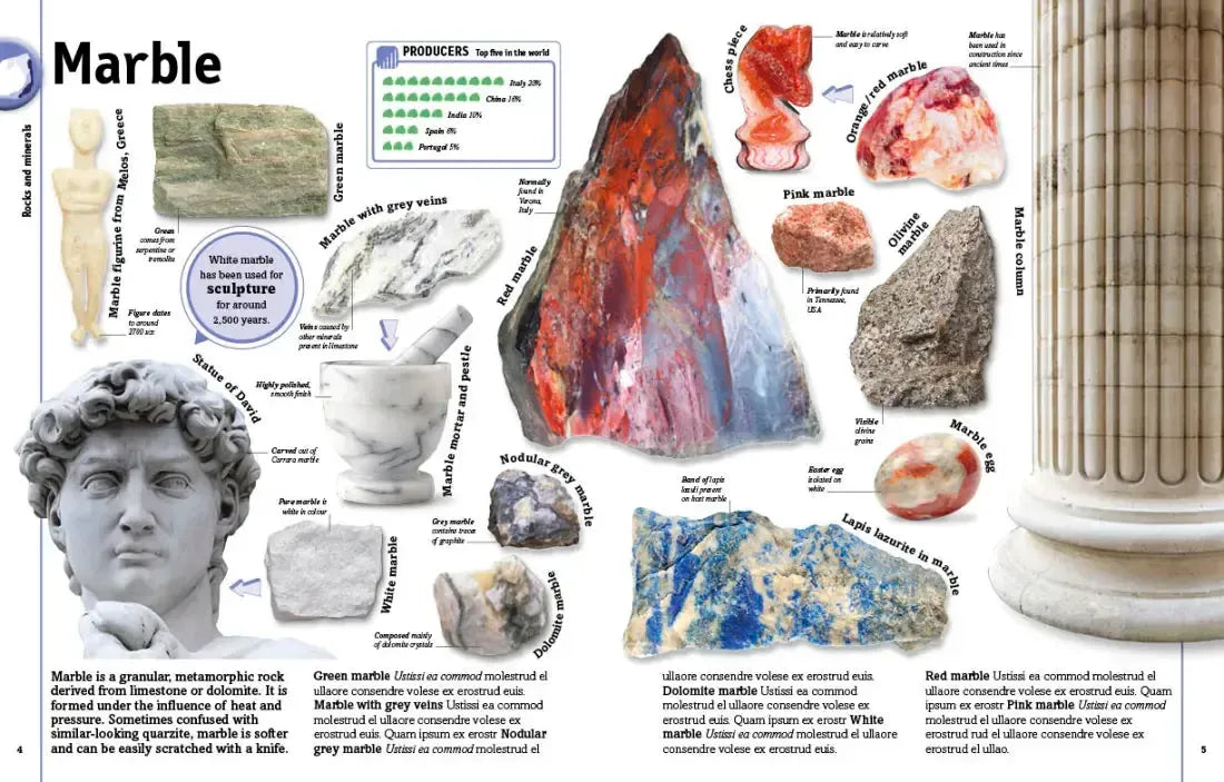 The Rock and Gem Book US - Hardback