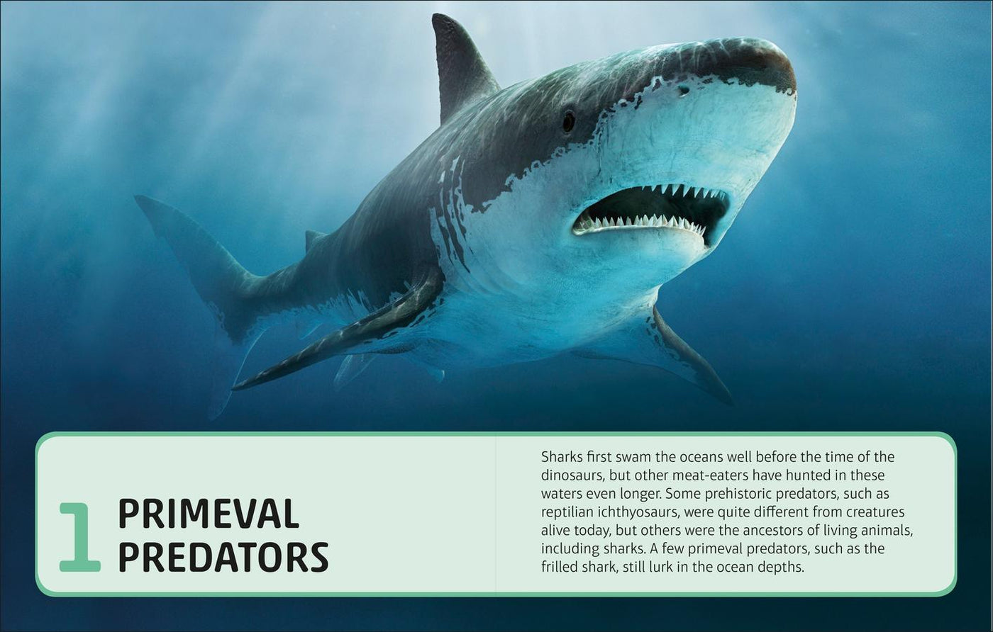 Sharks and Other Deadly Ocean Creatures Visual Encyclopedia US - Hardback