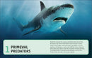 Sharks and Other Deadly Ocean Creatures Visual Encyclopedia US - Hardback