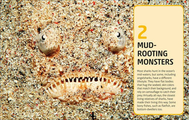 Sharks and Other Deadly Ocean Creatures Visual Encyclopedia US - Hardback