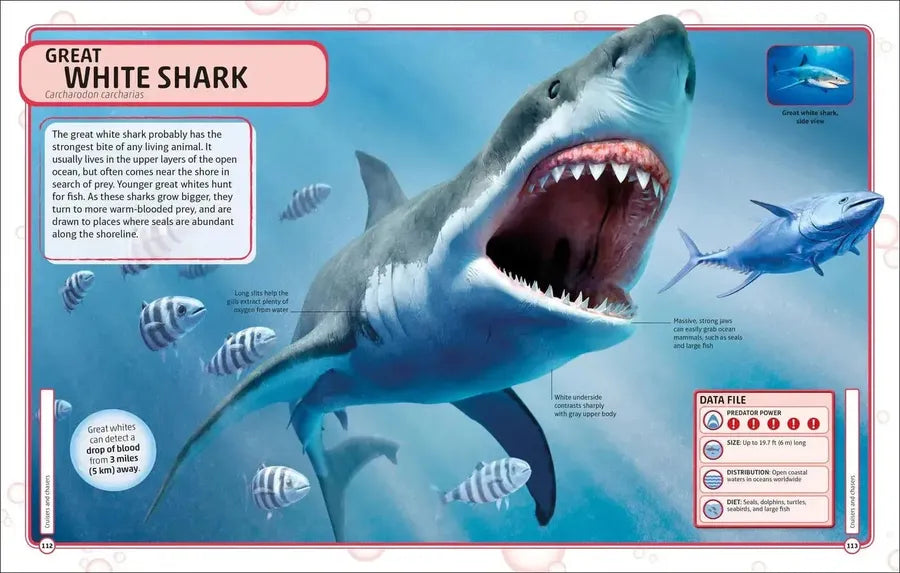 Sharks and Other Deadly Ocean Creatures Visual Encyclopedia US - Hardback