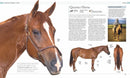 The Horse Encyclopedia US - Hardback