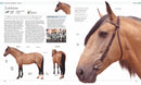 The Horse Encyclopedia US - Hardback