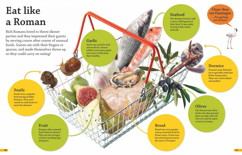 DKfindout! Ancient Rome US - Paperback / softback