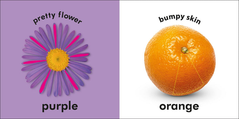 Baby Touch and Feel: Colors US - Board book