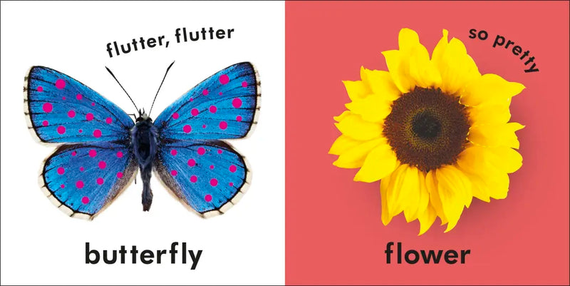 Baby Touch and Feel: First Words US - Board book