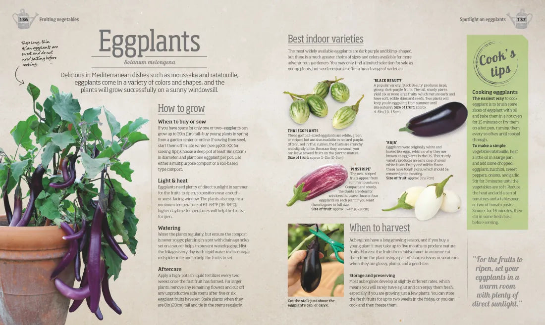 Indoor Edible Garden US - Paperback / softback