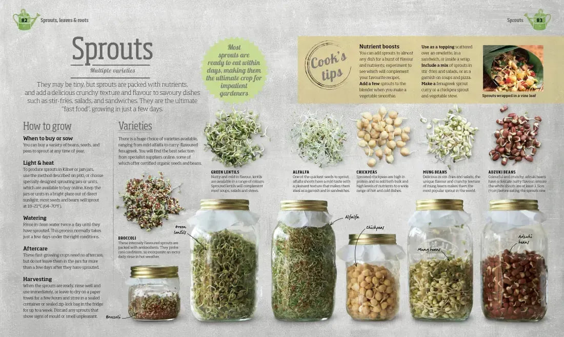 Indoor Edible Garden US - Paperback / softback