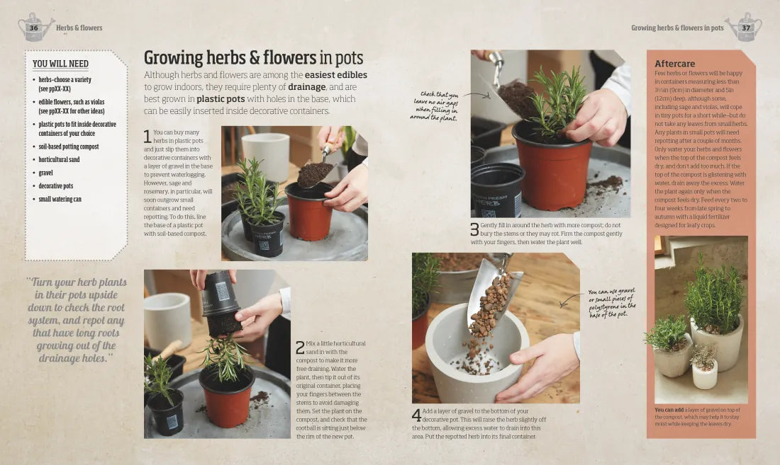 Indoor Edible Garden US - Paperback / softback