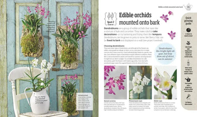 Indoor Edible Garden US - Paperback / softback