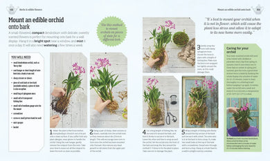 Indoor Edible Garden US - Paperback / softback