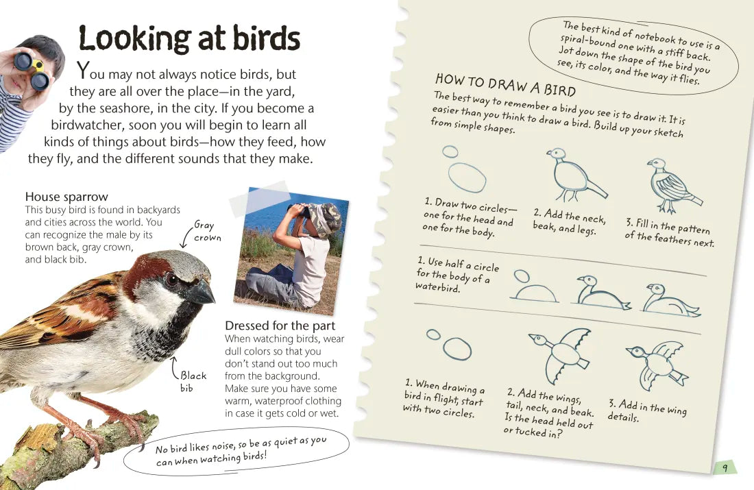 Birds US - Hardback