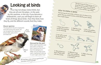 Birds US - Hardback