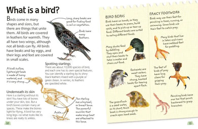 Birds US - Hardback