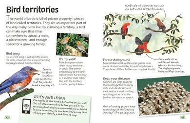 Birds US - Hardback