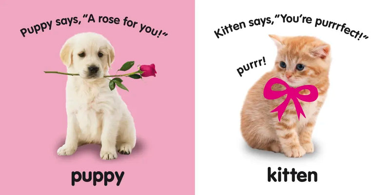 Baby Touch and Feel I Love You US - Board book