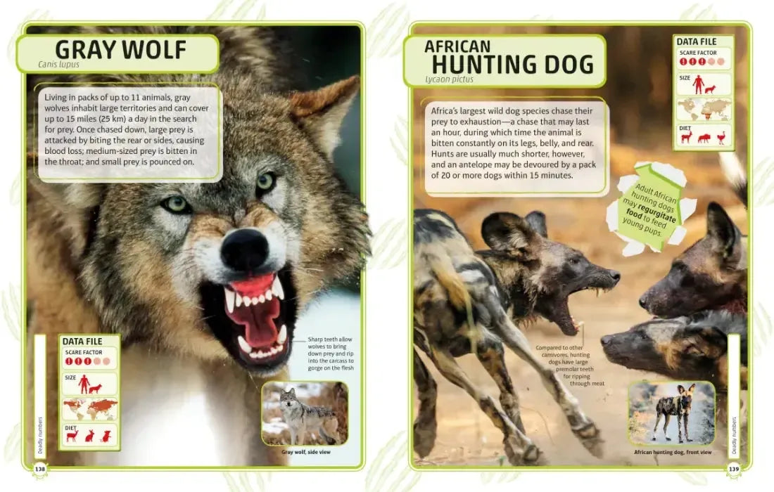 Nature's Deadliest Creatures Visual Encyclopedia US - Hardback
