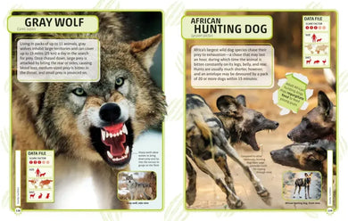 Nature's Deadliest Creatures Visual Encyclopedia US - Hardback