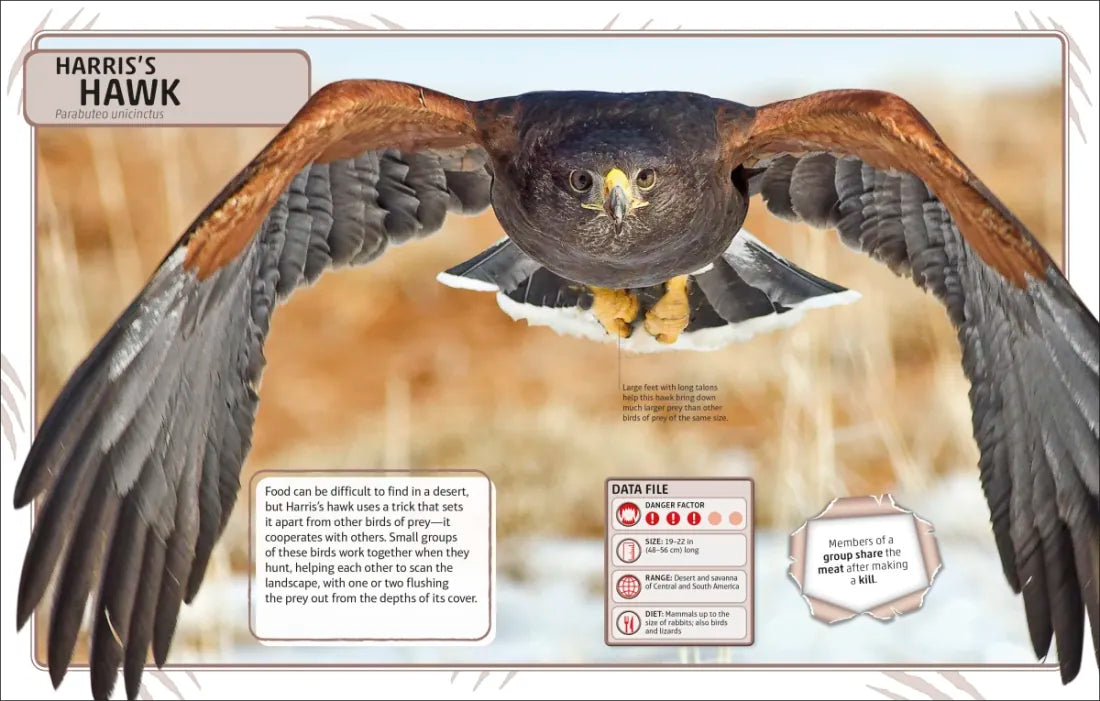 Nature's Deadliest Creatures Visual Encyclopedia US - Hardback