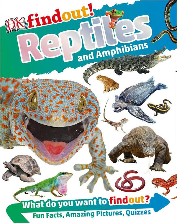 DKfindout! Reptiles and Amphibians-Children’s / Teenage general interest: Nature and animals-買書書 BuyBookBook
