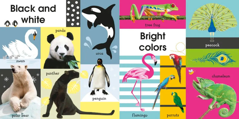 100 First Animals US - Board book