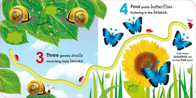 Counting with a Ladybug US - Board book