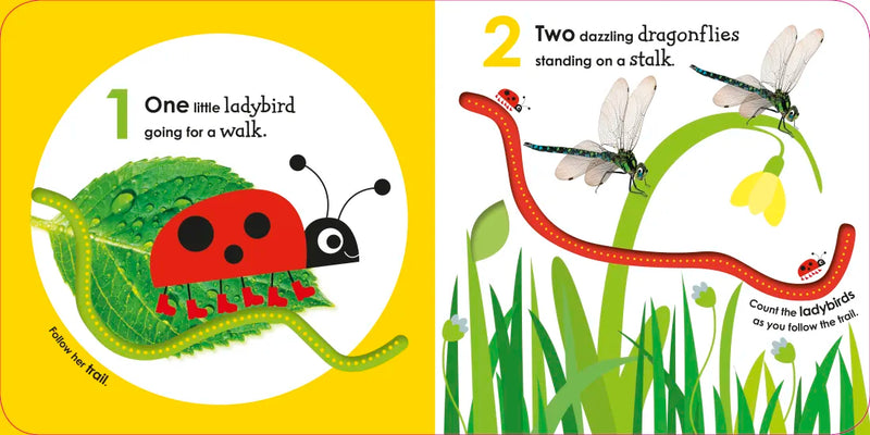 Counting with a Ladybug US - Board book