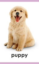 My First Touch and Feel Picture Cards: Animals US - Cards