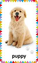 My First Touch and Feel Picture Cards: Animals US - Cards