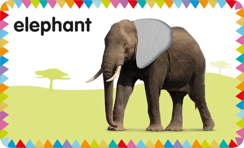 My First Touch and Feel Picture Cards: Animals US - Cards