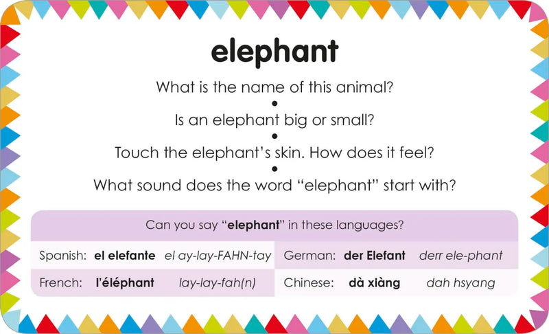 My First Touch and Feel Picture Cards: Animals US - Cards