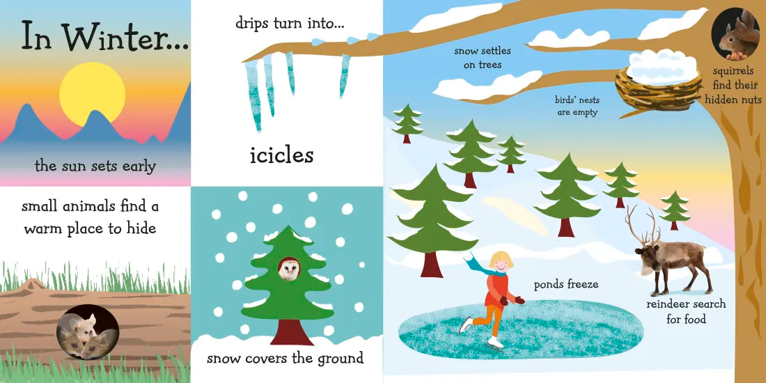 Is it Warm Enough for Ice Cream? US - Board book