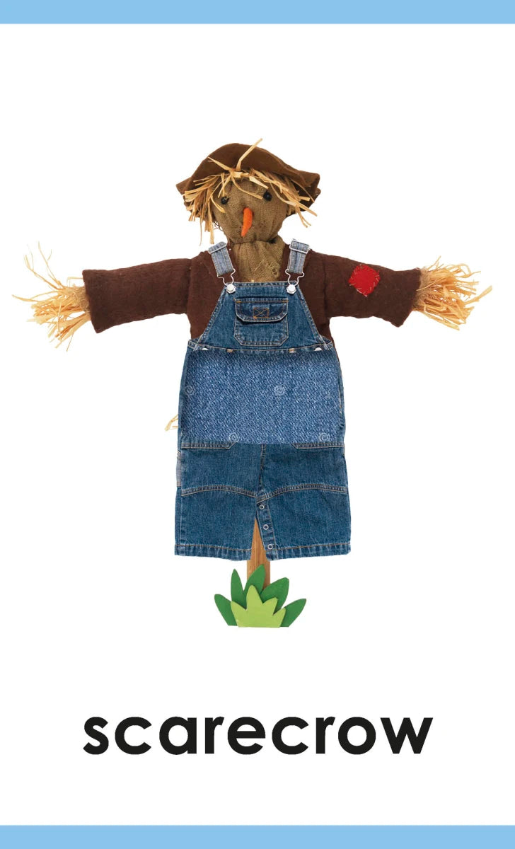 My First Touch and Feel Picture Cards: Farm US - Cards