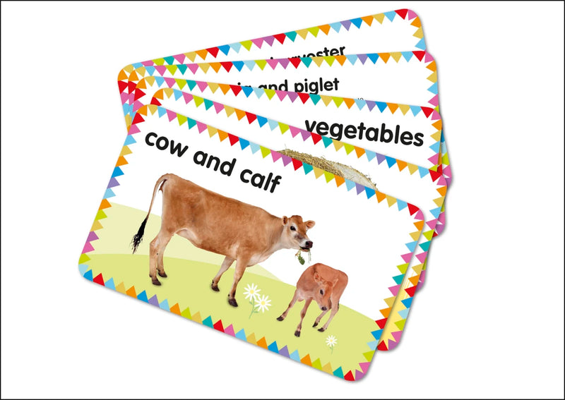 My First Touch and Feel Picture Cards: Farm US - Cards
