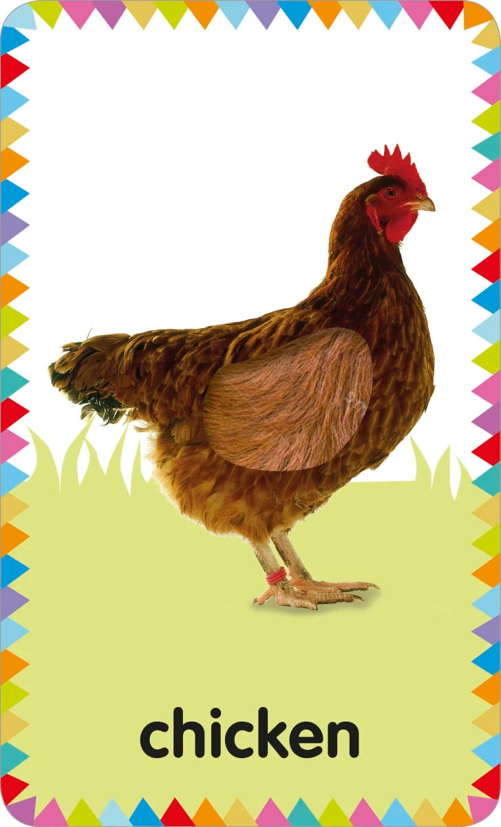 My First Touch and Feel Picture Cards: Farm US - Cards