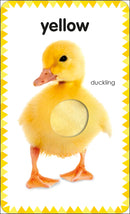 My First Touch and Feel Picture Cards: Colors and Shapes US - Cards