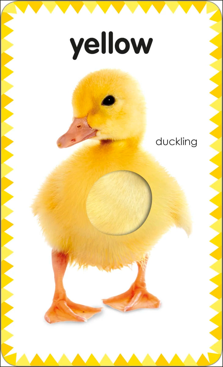 My First Touch and Feel Picture Cards: Colors and Shapes US - Cards