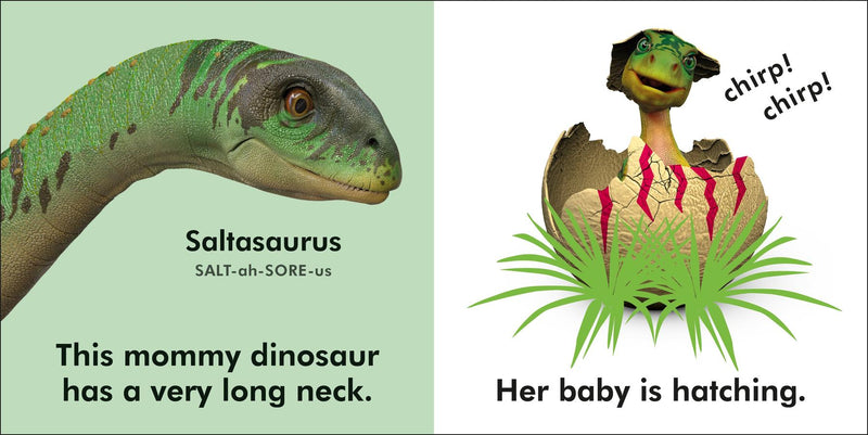 Baby Touch and Feel: Baby Dinosaur US - Board book