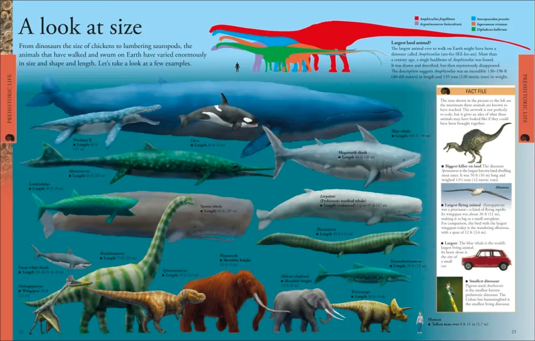 Dinosaurs: A Visual Encyclopedia, 2nd Edition US - Hardback