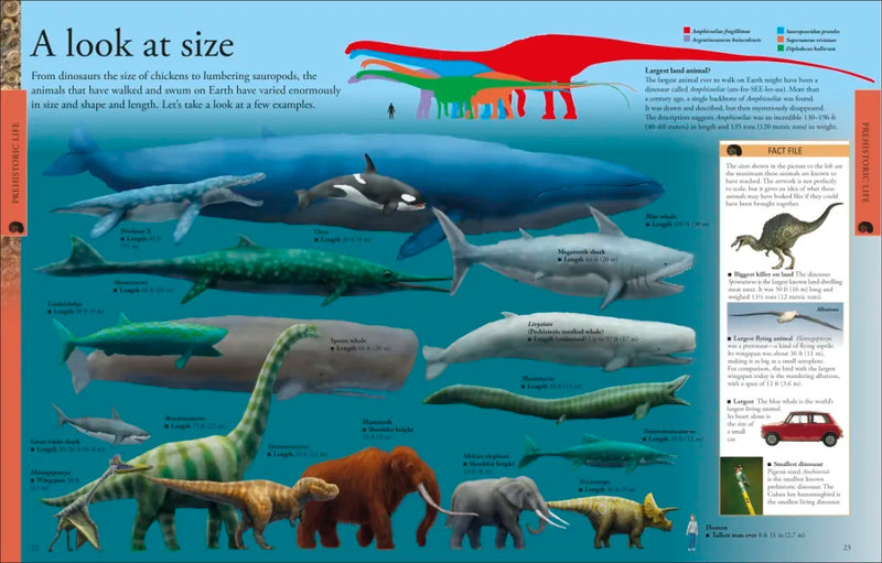 Dinosaurs: A Visual Encyclopedia, 2nd Edition US - Hardback